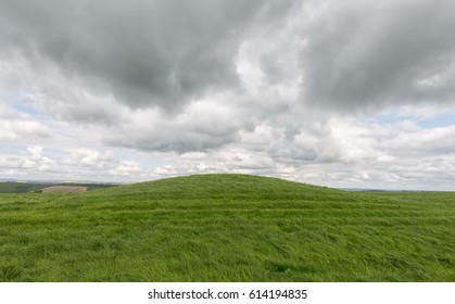 A Prehistoric Burial Mound, One Of Hundreds On The South Dorset Ridgeway, England. 