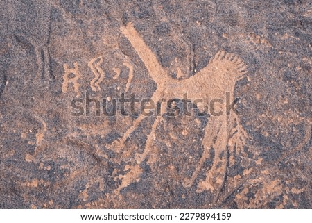 Prehistoric camel rock carvings at Jubbah, a Unesco World Herita