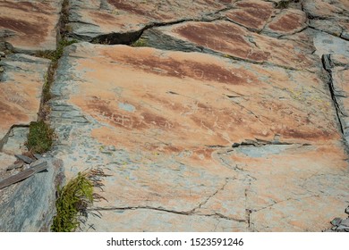 Prehistoric Cave Painting. Valley Of Miracles. France. Tende