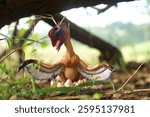 Prehistoric dinosaur oviraptor on next toy photography