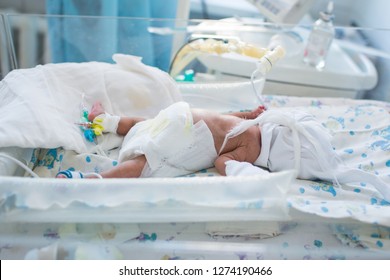 Premature Baby With A Catheter And A Neonatal Infant Oximeter On Legs Lying Inside The Incubator With Oxygen Mask