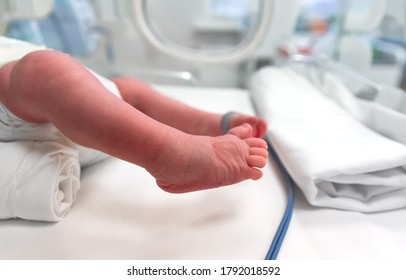 Premature Baby Feet With A Neonatal Pulse Oximetry Monitor, Selective Focus. Small Newborn Is Placed In A Premature Newborn Incubator. Neonatal Intensive Care Unit