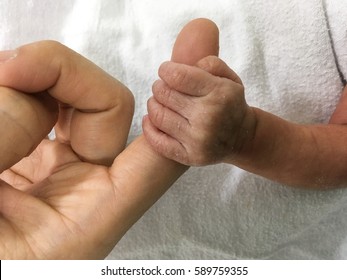 Premature Baby Hand Hold Her Mother Finger