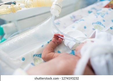 Premature Baby Hand Lying Inside The Incubator With Oxygen Mask