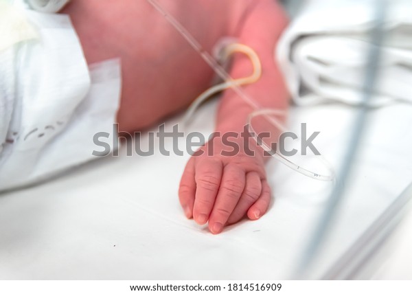 premature baby hand, selective focus. Newborn is
placed in the incubator, baby born prematurely. Neonatal intensive
care unit