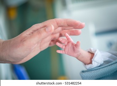 Premature baby in an incubator chamber reaching for his mother's hand