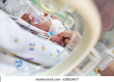 Premature Baby Inside Incubator Holding Mothers Hand