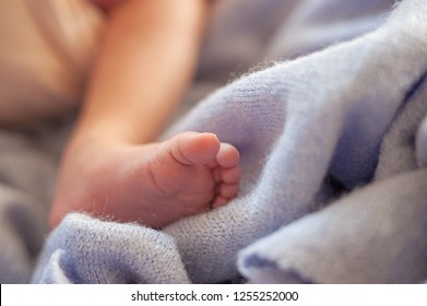 premature baby leg, foot. baby in incubator. a baby born prematurely