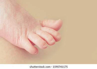 Premature Baby Leg, Foot. Baby In Incubator. A Baby Born Prematurely