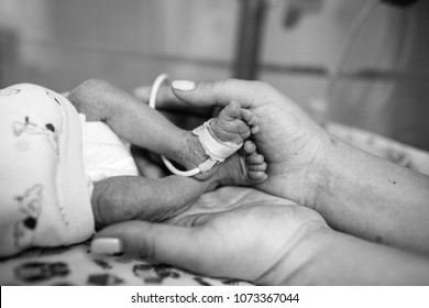 Neonate Images Stock Photos Vectors Shutterstock