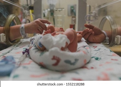 Premature baby in NICU holding parents hands