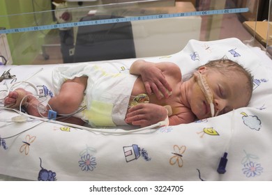 Premature Baby Sleeping In ICU Only One Day Old