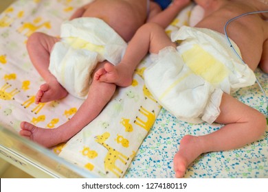 Premature Baby Twins Legs Lying Inside The Heating Bed In The Hospital