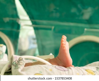 Premature Baby´s Foot Inside A Covered Incubator With A Cuff For Blood Pressure Measurement. Critically Ill. NICU. Neonatology.