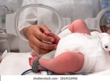 Premature Baby´s Foot Inside A Covered Incubator With A Cuff For Blood Pressure Measurement. Critically Ill. NICU. Neonatology.