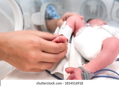 Premature Baby´s Foot Inside A Covered Incubator With A Cuff For Blood Pressure Measurement. Critically Ill. NICU. Neonatology.