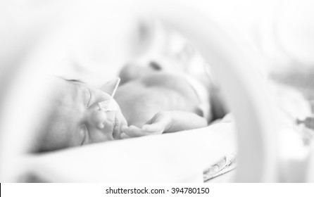 Bebe Premature High Res Stock Images Shutterstock