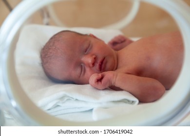 Premature newborn baby in the hospital incubator. Neonatal intensive care unit 