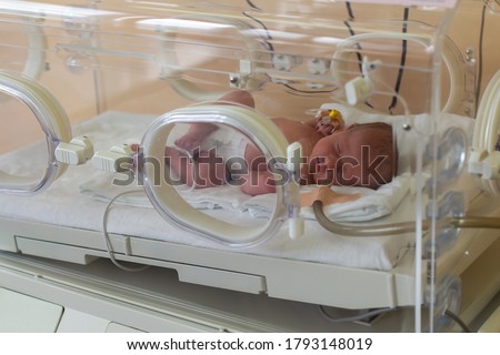Premature newborn baby in the hospital incubator. Neonatal intensive care unit 