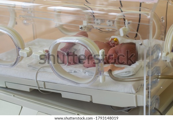 Premature newborn baby in the hospital incubator.\
Neonatal intensive care unit\

