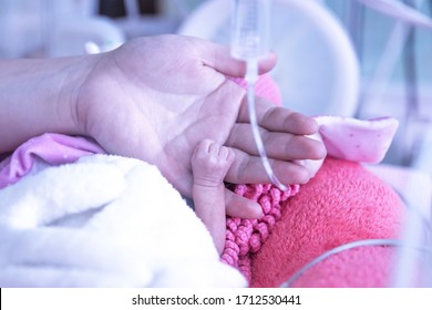 Premature Newborn baby in incubator, ICU