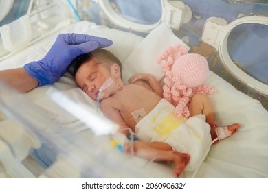 Premature Newborn Girl In Hospital Incubator After Section At 33 Weeks. Cute Newborn Baby Inside Incubator. Hand Of Nurse Or Doctor Checking Baby In Incubator.