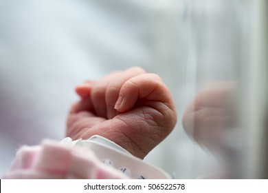 Premature Newborn Hand