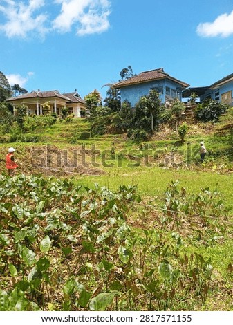 A premier terraced land plot, located in an elevated position with existing homes and lush tropical vegetation. Perfect for a villa resort, retreat, or agricultural development.