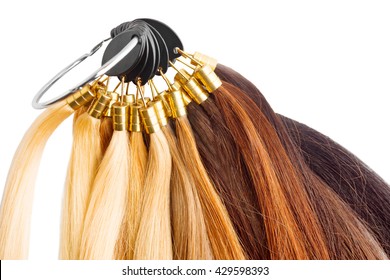 Color Palette Hair Images Stock Photos Vectors Shutterstock