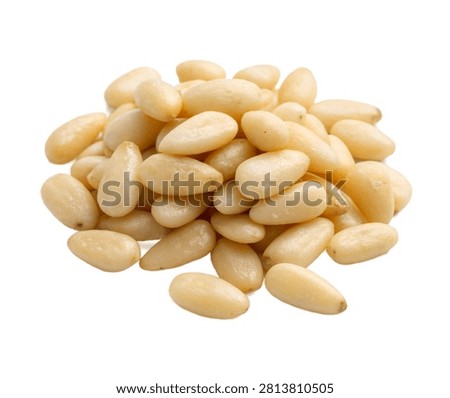 Premium Pine Nuts Isolated On A Pure White Backgro Isolated On White Background