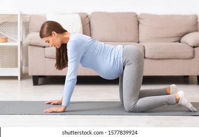 Prenatal Gymnastics. Pregnant woman standing at table pose on hands and knees on yoga mat. Free space
