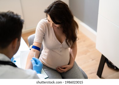 Prenatal Screening. Doctor Drawing Blood Sample From Pregnant Woman