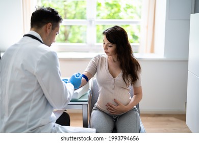 Prenatal Screening. Doctor Drawing Blood Sample From Pregnant Woman