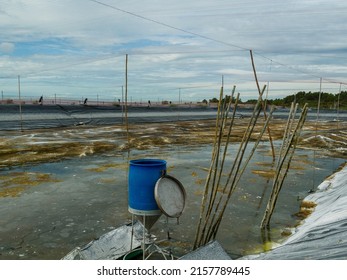 Preparation Of Aquaculture Ponds.Shrimp Farm