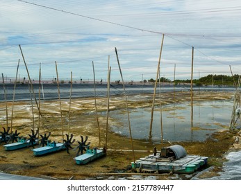 Preparation Of Aquaculture Ponds.Shrimp Farm