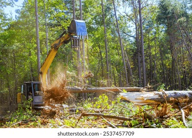 As preparation for construction of new structure, trees are uprooted using an excavator by contractor