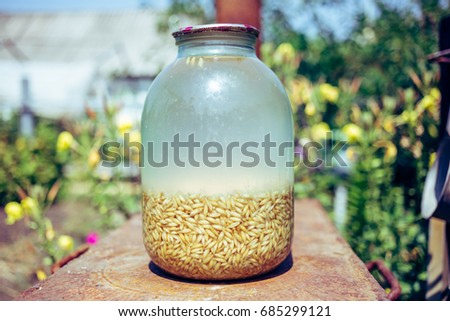 Preparation of a drink in a jar with the name of kvass from oat grains