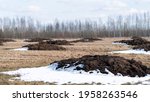 Preparation of fields for sowing in the spring. Fertilizing fields with natural manure agro bio fertilization. Fertilizer from cow manure and straw in early spring to fertilize fields. Melting snow.