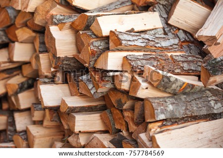 Preparation of firewood for the winter. firewood background, Stacks of firewood in the forest. Pile of firewood.