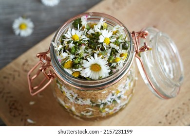Preparation of herbal syrup from fresh common daisy or Bellis perennis flowers and cane sugar - Shutterstock ID 2157231199