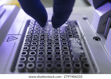 Preparation for PCR testing of human samples. Paternity testing using PCR.