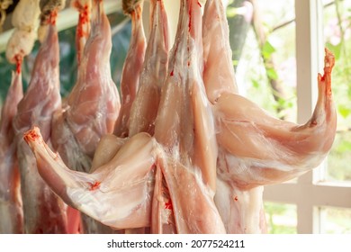 Preparation Of Rabbit Meat. Traditional Rural Food. Rabbit Carcasses Hanging From A Wooden Beam. Delicatessen Rabbit Meat. Animal Slaughter. Removed Skin From A Dead Rabbit In The Village.