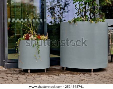 preparation for tying the root ball of a tree in a flower pot. mixed planting with perennials in a white conical flowerpot at the entrance to the glass office building. bind against refutation