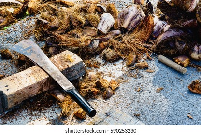 Prepare The Compost Pile Using The Coconut Coir Husk For Grow Th