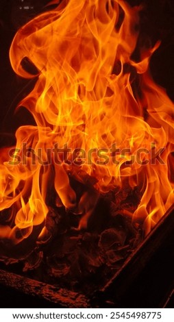 prepare the fire for the barbecue