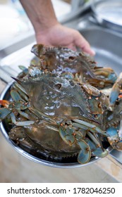 Prepared Blue Crabs From Mediterranean Sea.