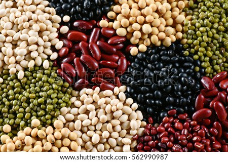 Prepared muticolor dry legumes for cooking, Many legumes for background and textured