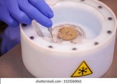 Preparing Cryo-electron Microscopy Grid Sample In Liquid Nitrogen With Protective Gloves