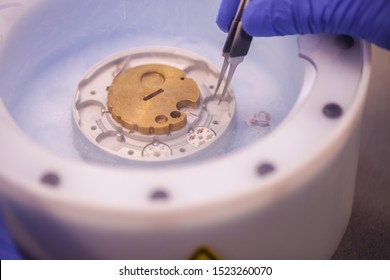 Preparing Cryo-electron Microscopy Grid Sample In Liquid Nitrogen With Protective Gloves