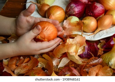 Preparing For Easter. A Child Is Peeling Onions To Paint Eggs. Onion Husk On A Wooden Background. Russian Family Traditions